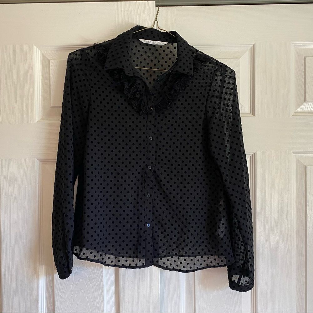 Zara Size Small Sheer Polka Dot Feather Long Sleeve Button down academic grunge